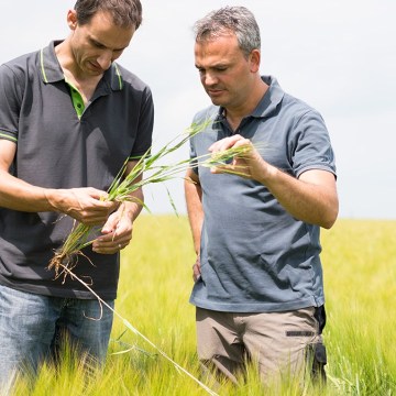  BASF France Agro 