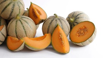 melons nunhems