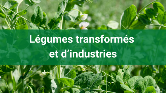 Légumes d'industries