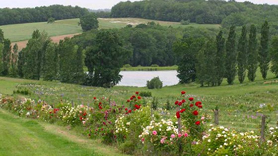 Daniel, ma vie d'agri