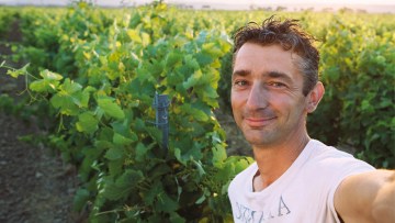 Pierre, viticulteur oléiculteur