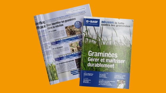+ LE GUIDE POUR REUSSIR SON DESHERBAGE