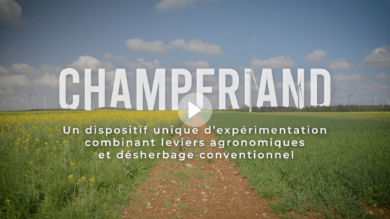La commission combinatoire Phyteis en visite à Champfriand ! 
