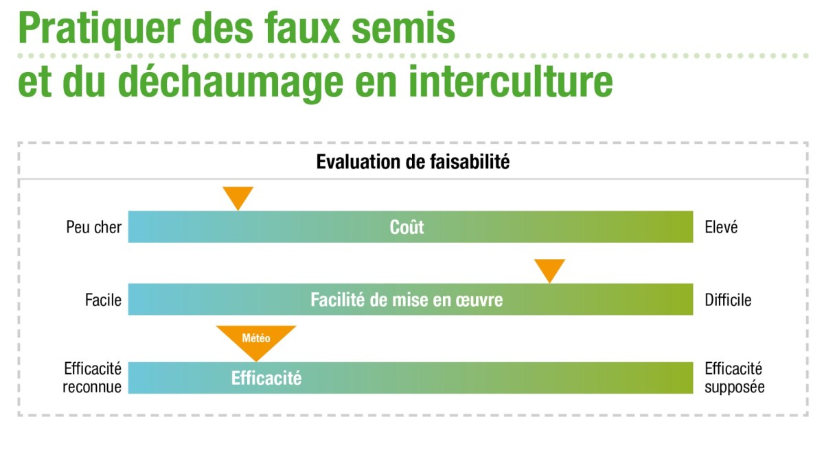 Avantages et limites de la pratique des faux semis de l’orge.