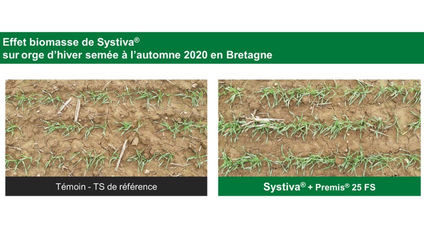 efficacité systiva région bretagne