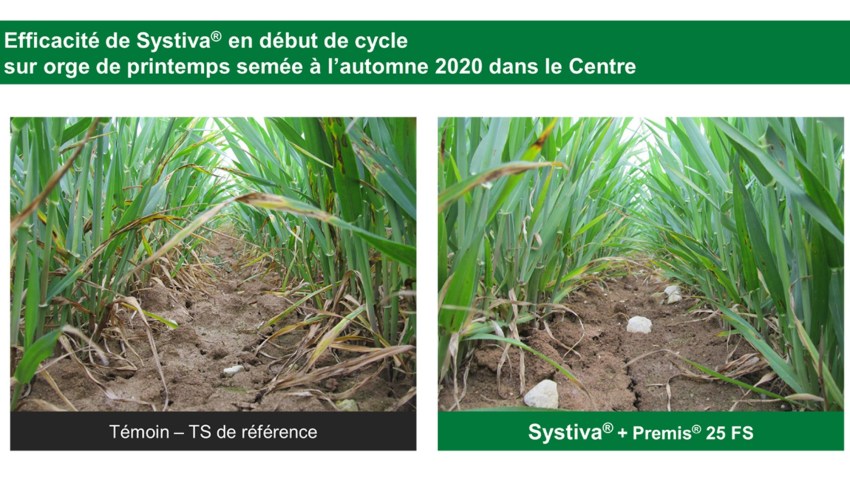 efficacité systiva région centre