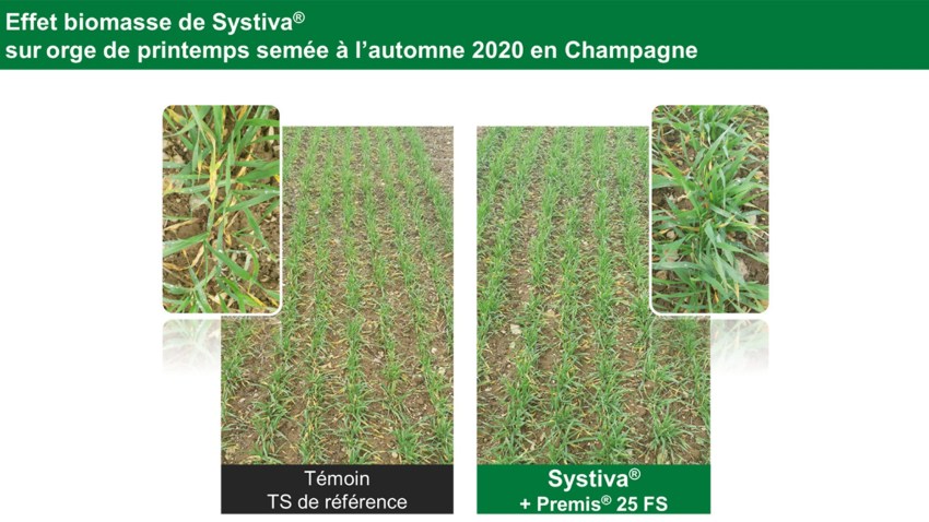 efficiacité systiva région champagne