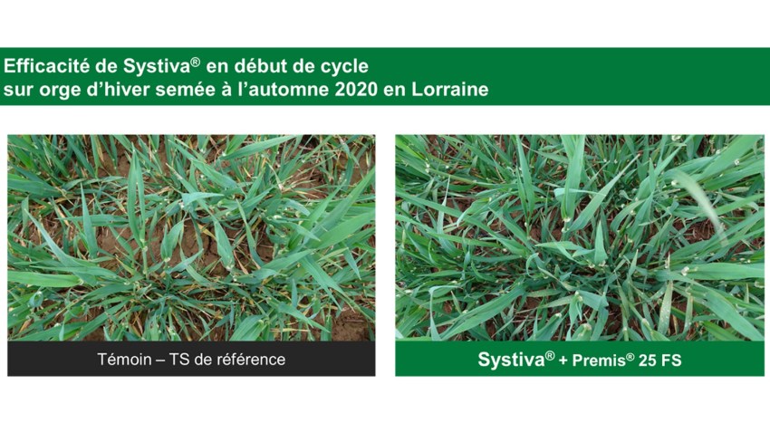 efficacité systiva en lorraine