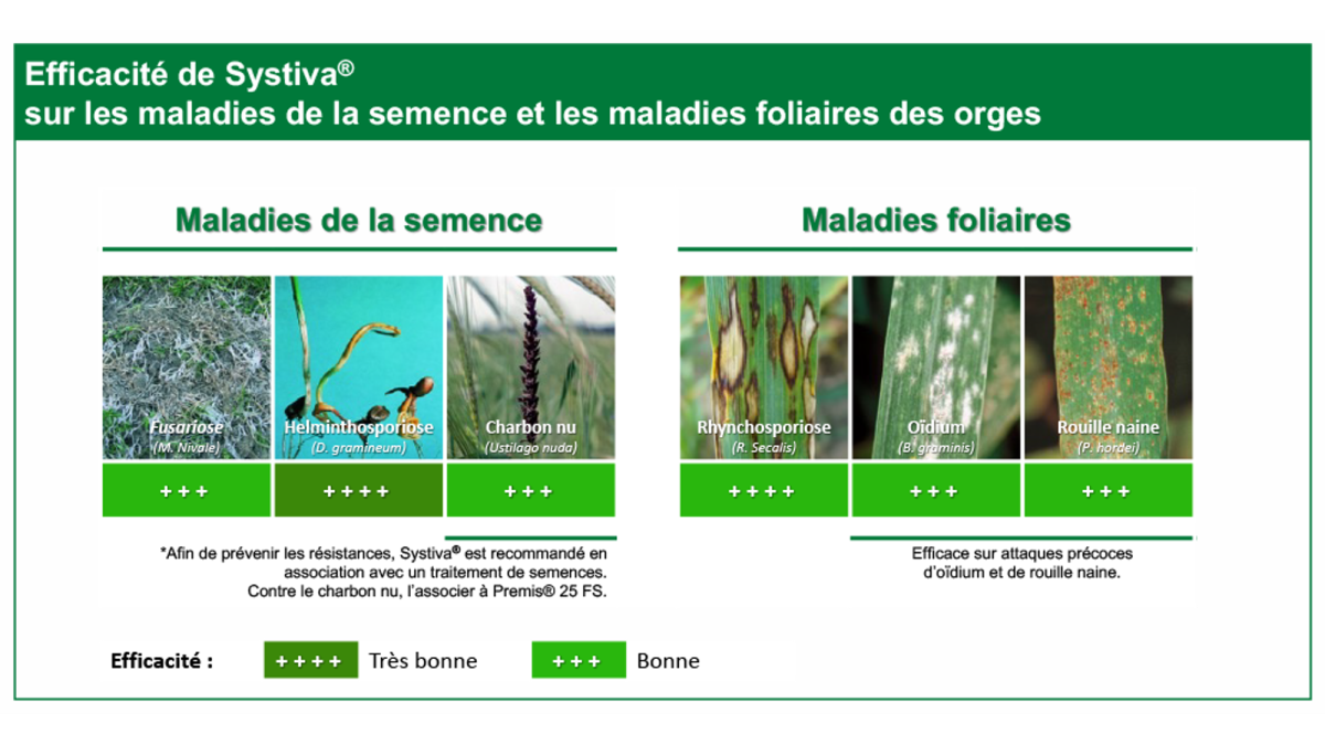 efficacité systiva
