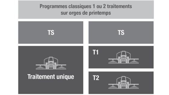 stratégie protection fongicide orges