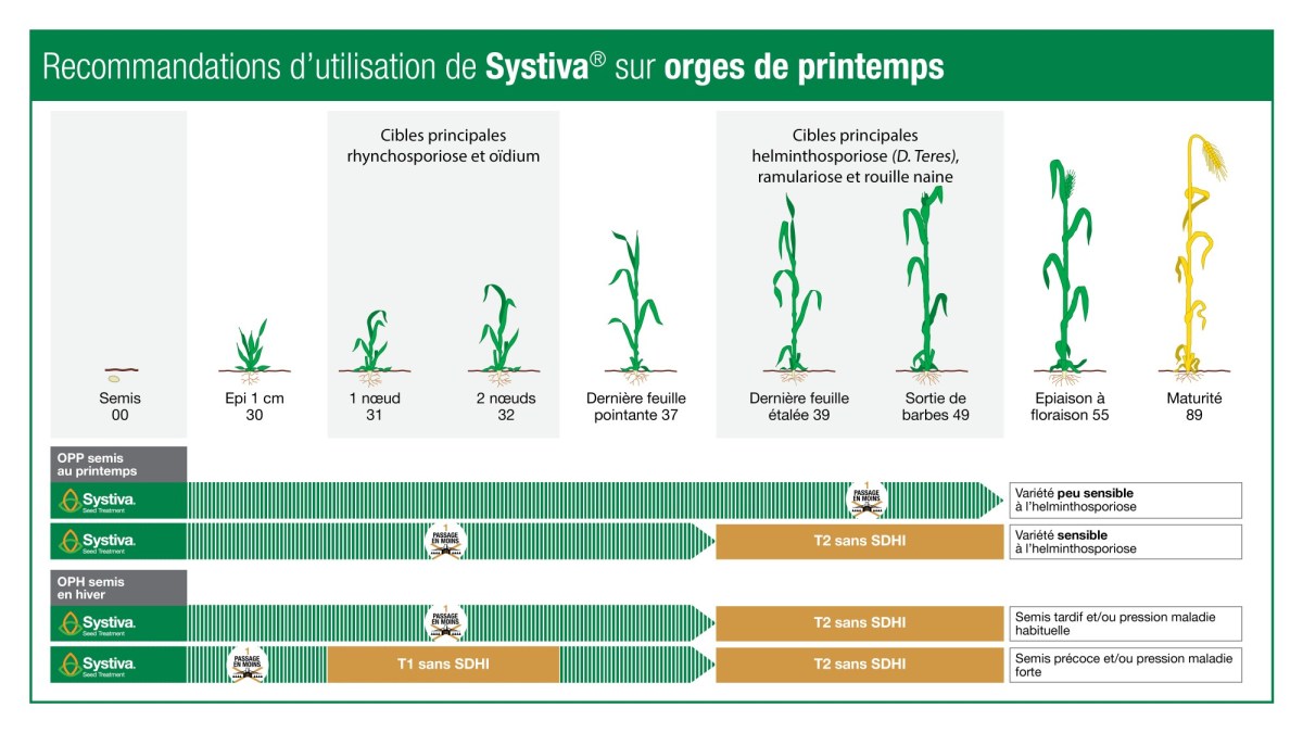 Recommandations d'utilisation de Systiva sur orges de printemps