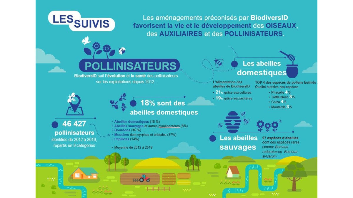basf les suivis pollinisateurs