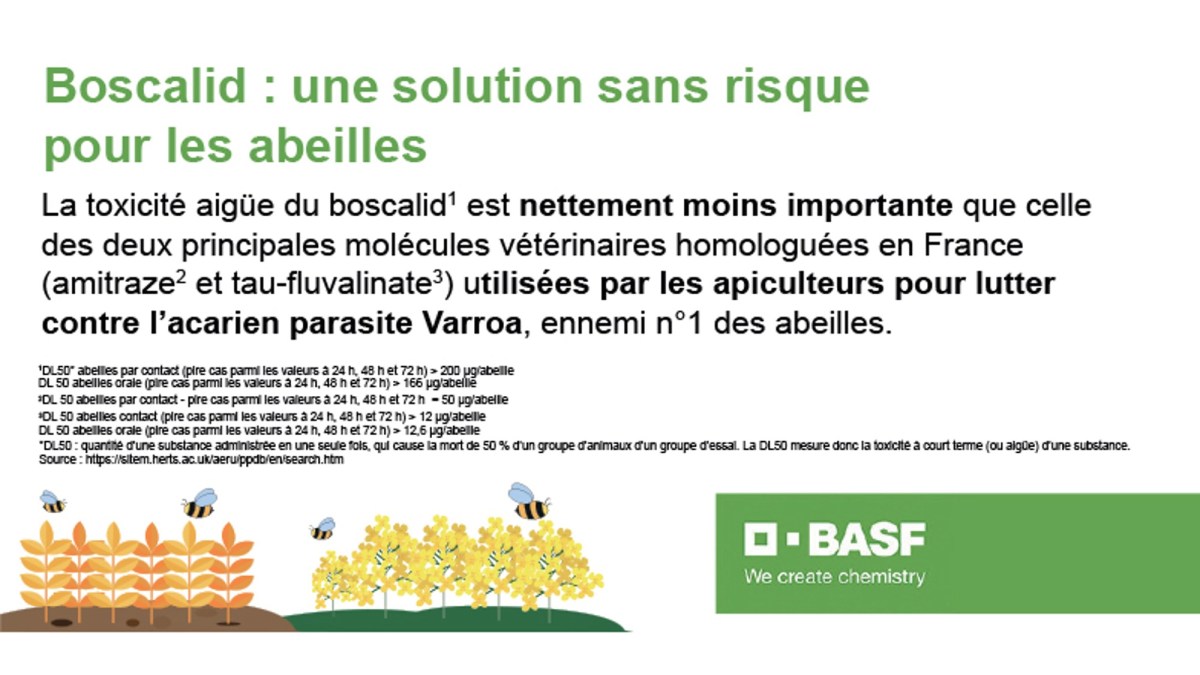 SDHI et Boscalid : une solution sans risque pour les abeilles