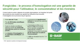 Fongicides : quel est le process d’homologation ?