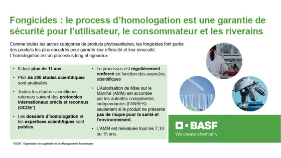 Fongicides : quel est le process d’homologation ?