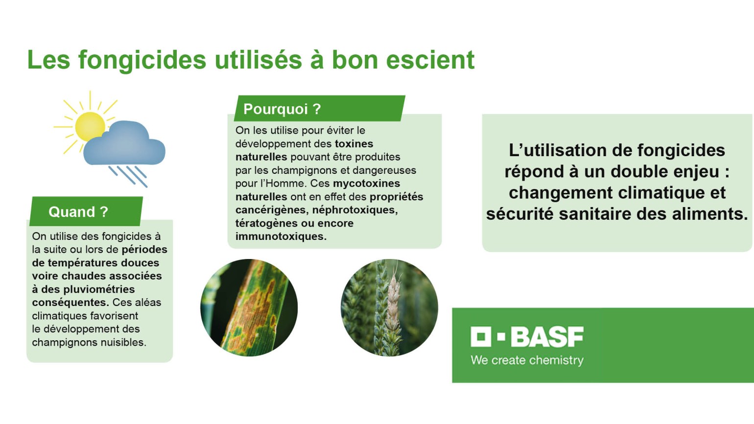 Quand et pourquoi utiliser des fongicides