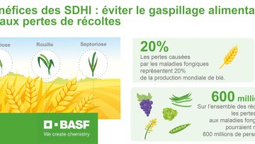 Bénéfices des SDHI : éviter le gaspillage alimentaire lié aux pertes de récoltes