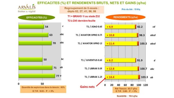 efficacité sdhi