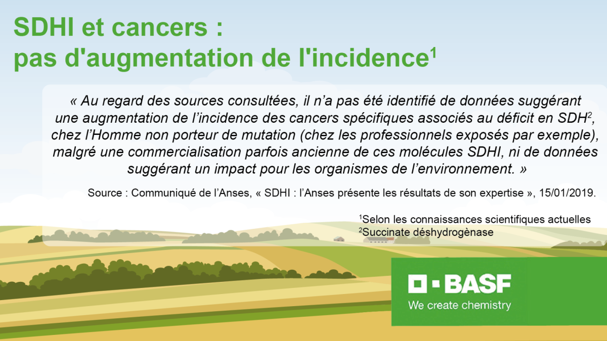 sdhi et cancers : pas d'augmentation de l'incidence