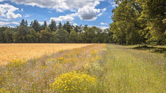 itinéraires agroécologiques