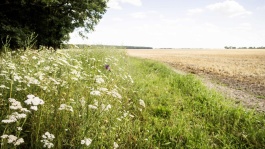 Préserver la biodiversité