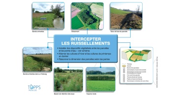 L’aménagement du paysage et des parcelles