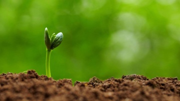 Agroécologie