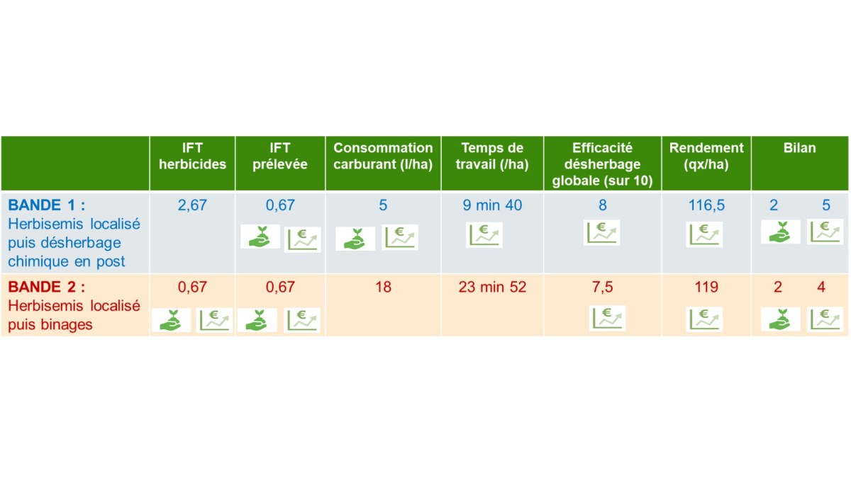 bilan itinéraire maïs