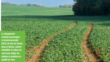 Focus dans la Vienne : itinéraires agroécologiques en colza, au service de la protection de l’eau 