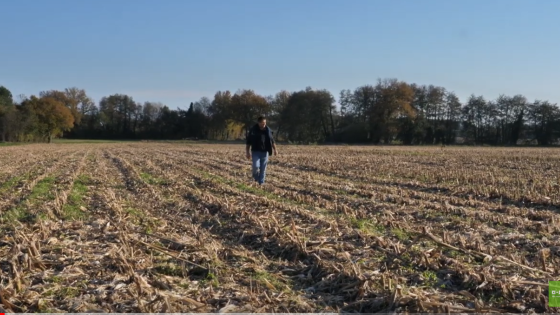 agriculteur pratique herbisemis