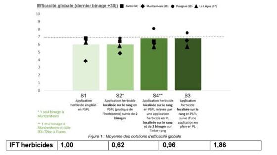 stratégie désherbage du maïs binage