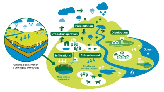 Le grand cycle de l'eau