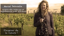 Comment s’inspirer de la nature pour lutter contre les ravageurs ?