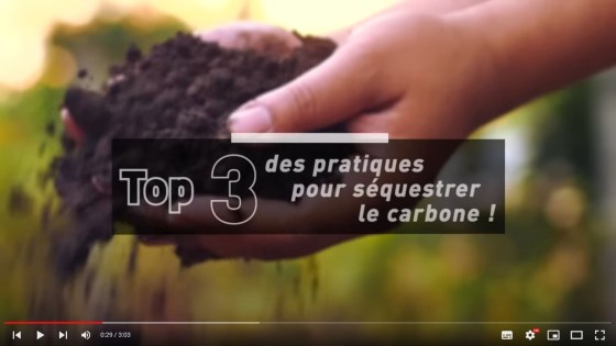 Top 3 des pratiques pour séquestrer le carbone
