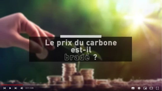 Le prix du carbone est-il bradé ?