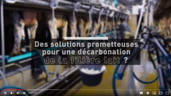 Des solutions prometteuses pour une décarbonation de la filière lait ?