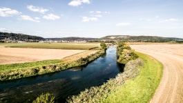Partie 7 : Concilier désherbage du colza et protection des ressources en eau