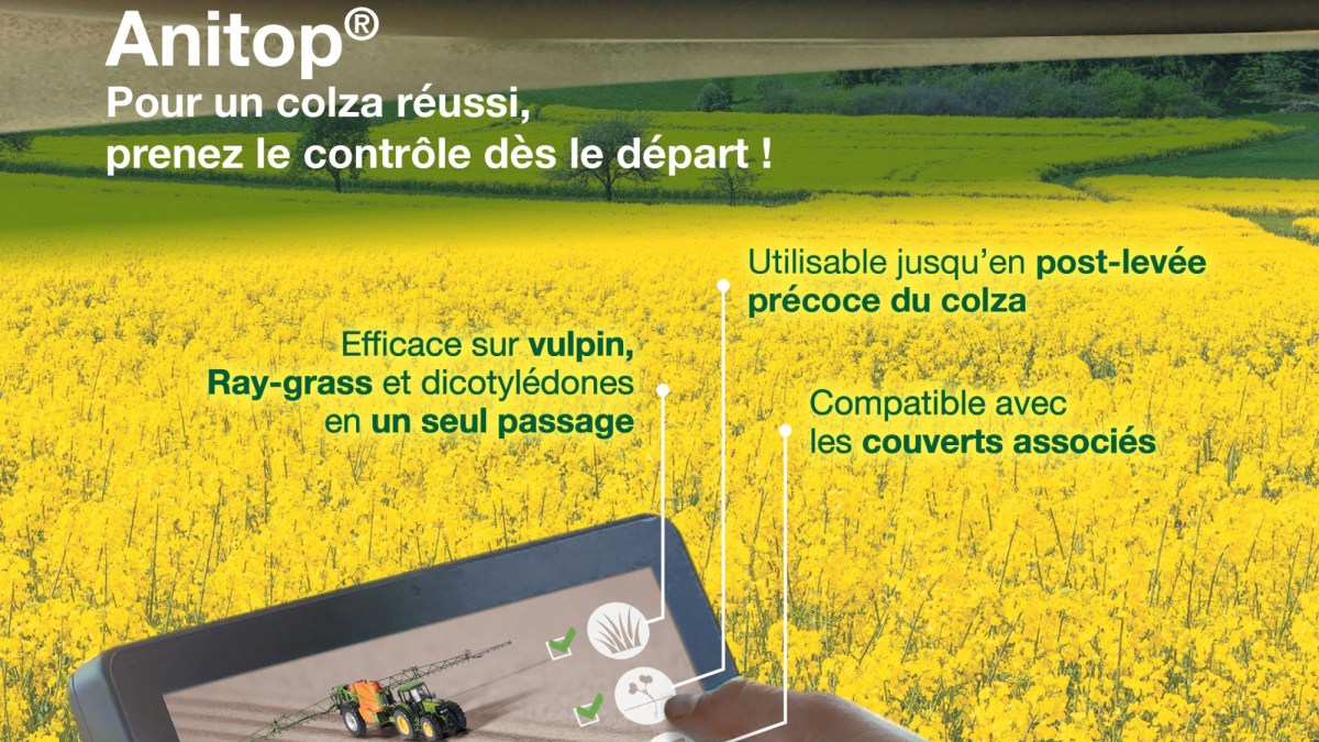 anitop, herbicide colza