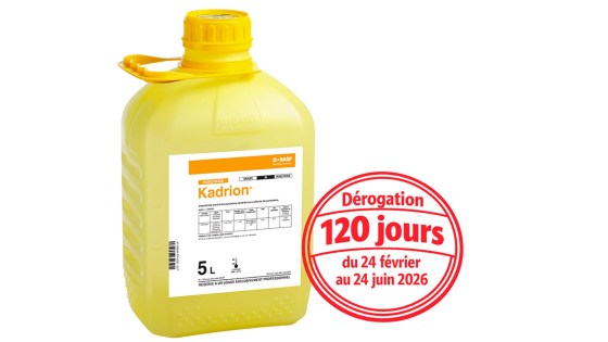 Kadrion®