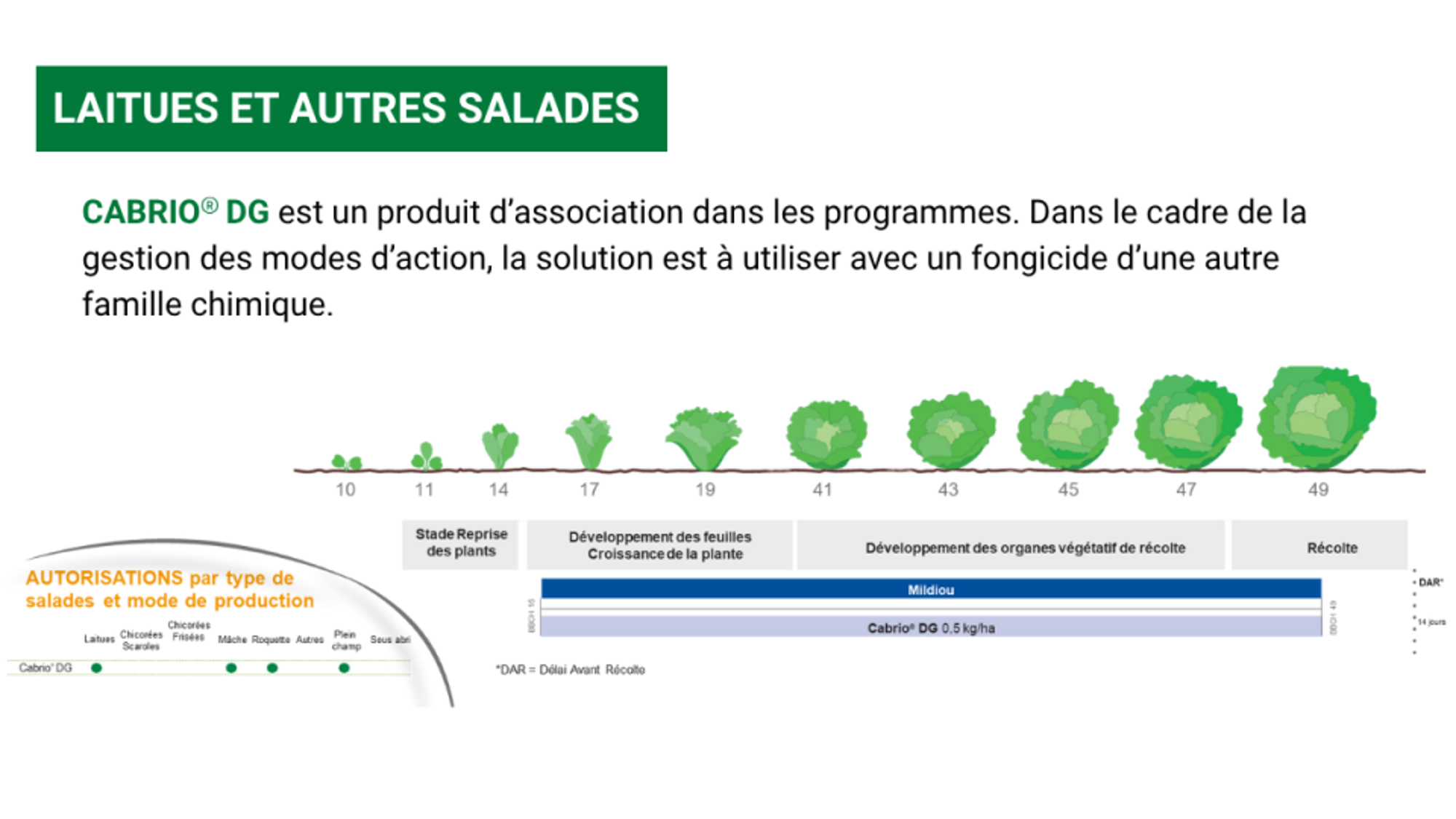 positionnement cabrio dg