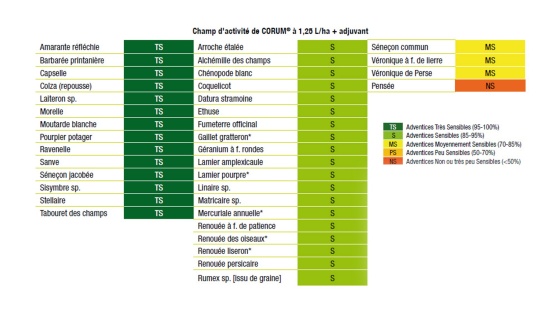 Champ d'activité de Corum