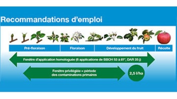 Delan Pro recommandations emploi
