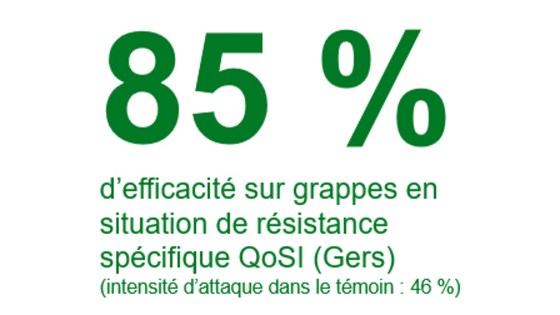 solution enervin active efficacité sur grappes