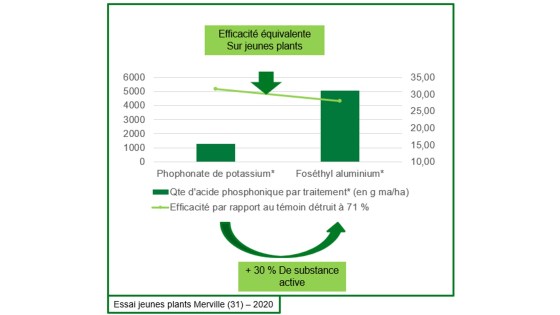 Solution Enervin Active sur jeunes plants