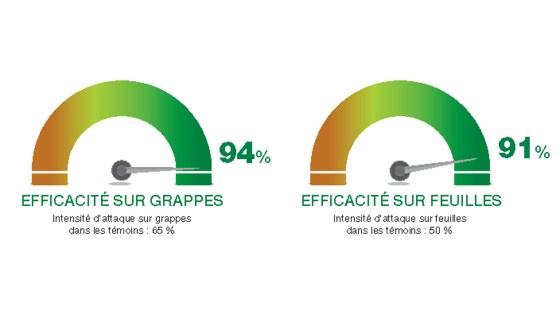 solution enervin active + phosphonate à base d'Epatan