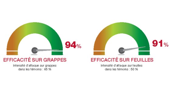efficacité solution enervin active + phosphonate