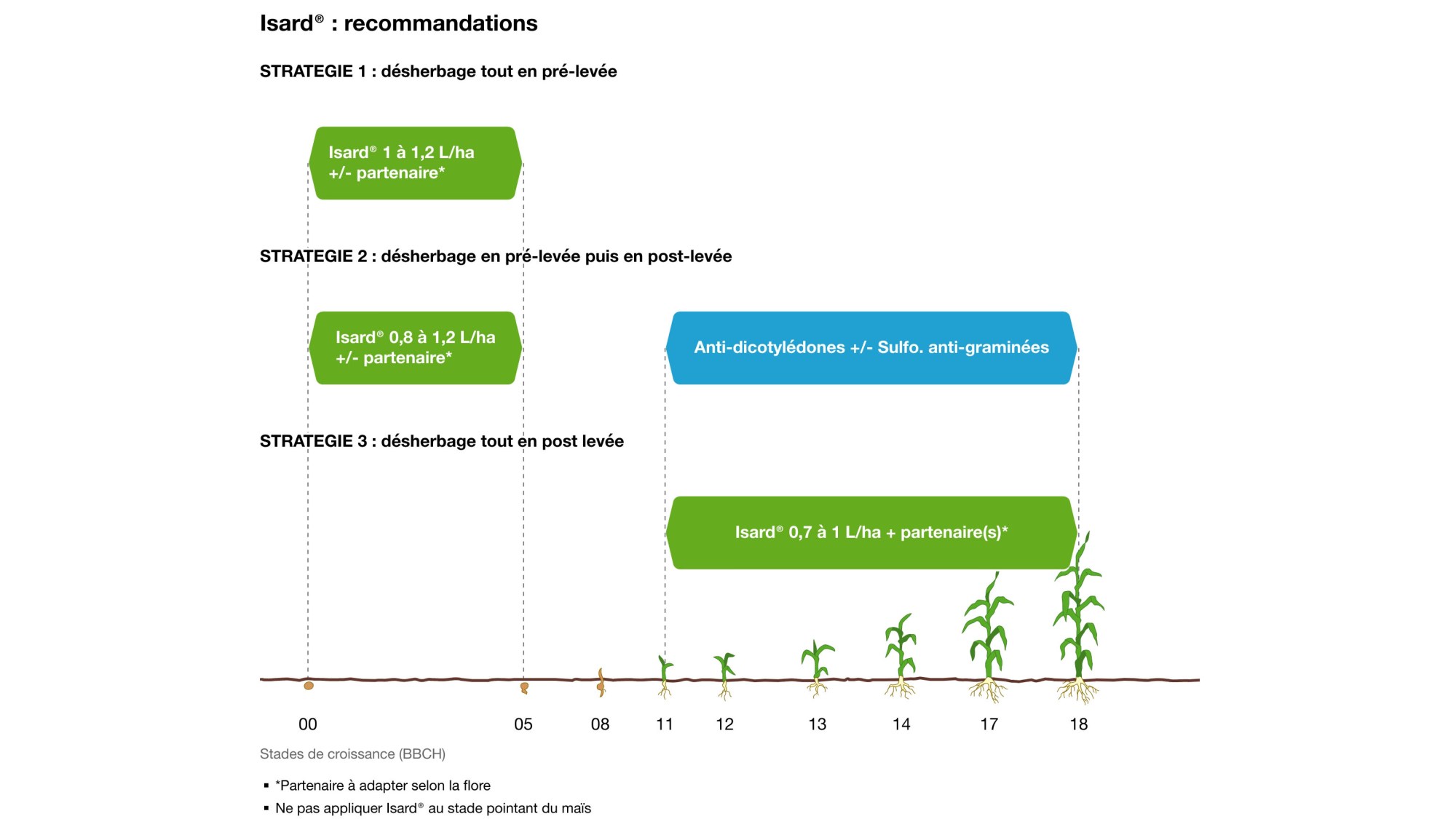 Isard® sur maïs et betteraves