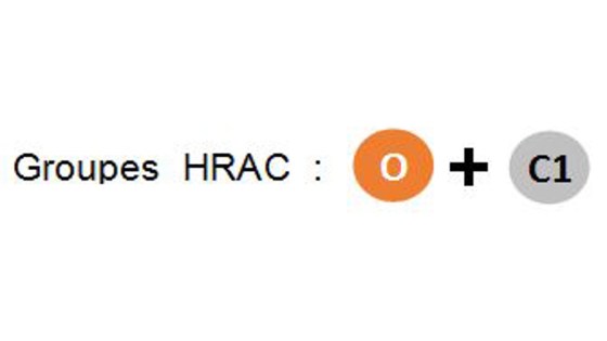 2 modes d'action différents pour pérenniser le désherbage de la betterave