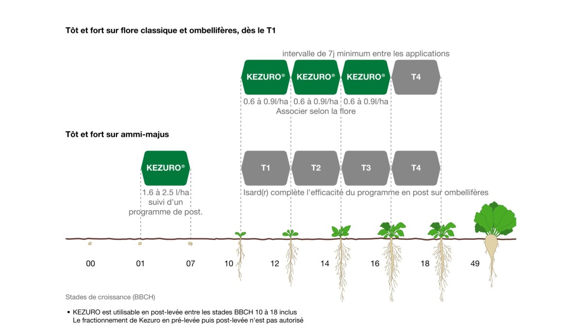 programmes à base de Kezuro®