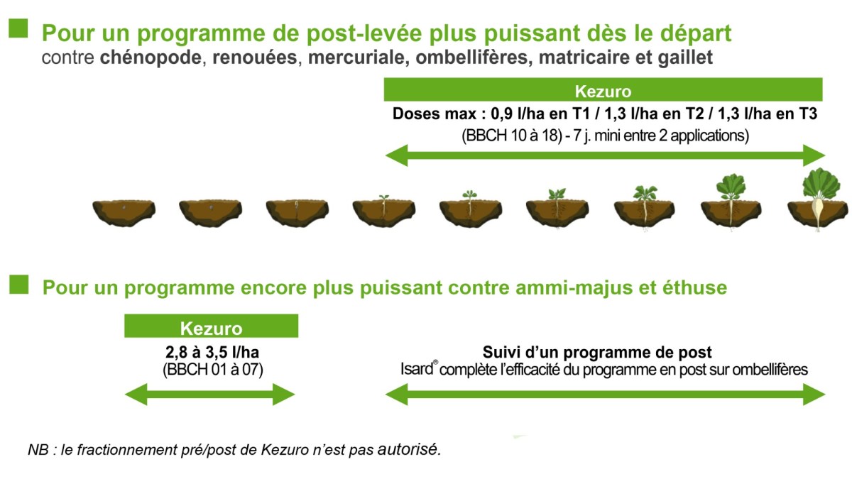 programme kezuro contre chénopode, ombellifères, matricaire, renouées, mercuriale, ammi-majus, éthuse